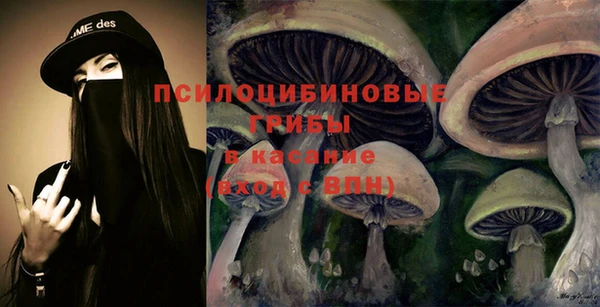 бошки Алзамай